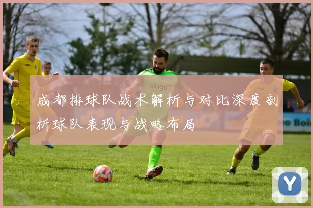 成都排球队战术解析与对比深度剖析球队表现与战略布局