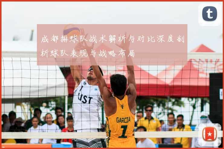 成都排球队战术解析与对比深度剖析球队表现与战略布局