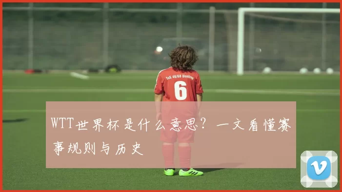 WTT世界杯是什么意思?一文看懂赛事规则与历史