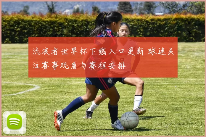 流浪者世界杯下载入口更新 球迷关注赛事观看与赛程安排