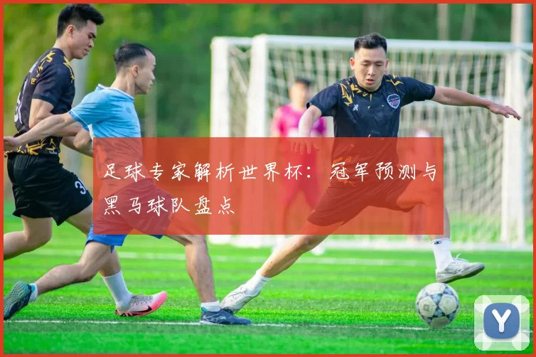 足球专家解析世界杯:冠军预测与黑马球队盘点