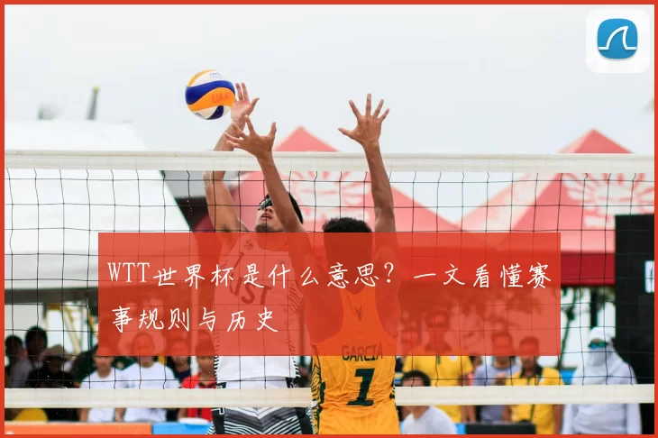 WTT世界杯是什么意思？一文看懂赛事规则与历史