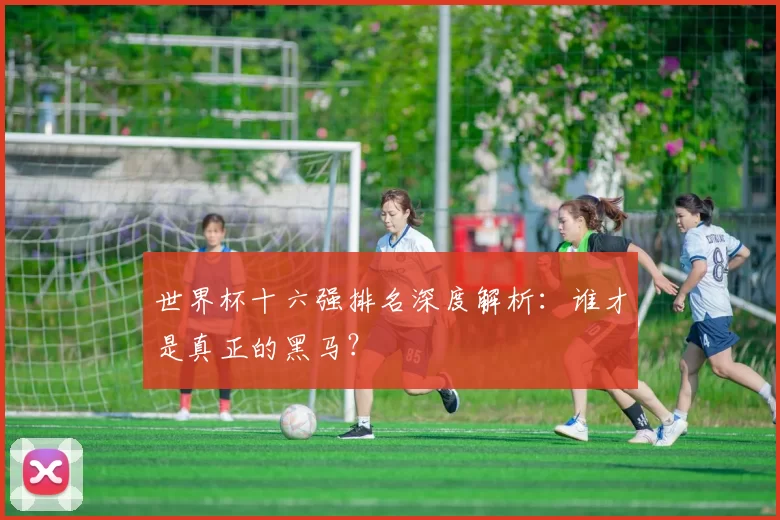 世界杯十六强排名深度解析:谁才是真正的黑马?