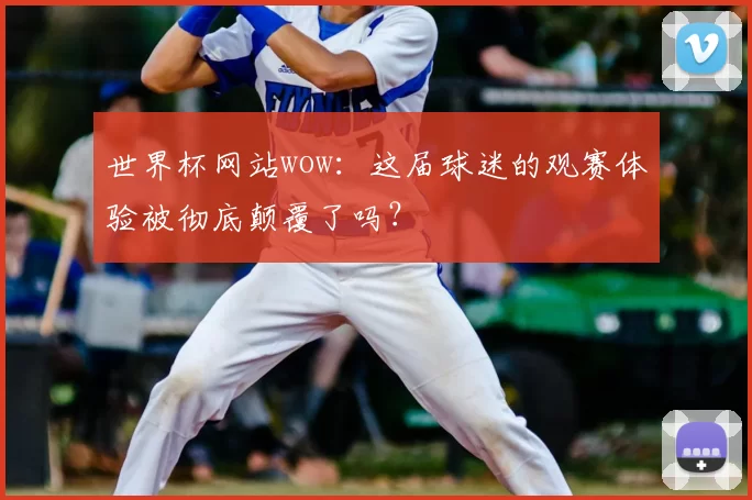 世界杯网站wow:这届球迷的观赛体验被彻底颠覆了吗?